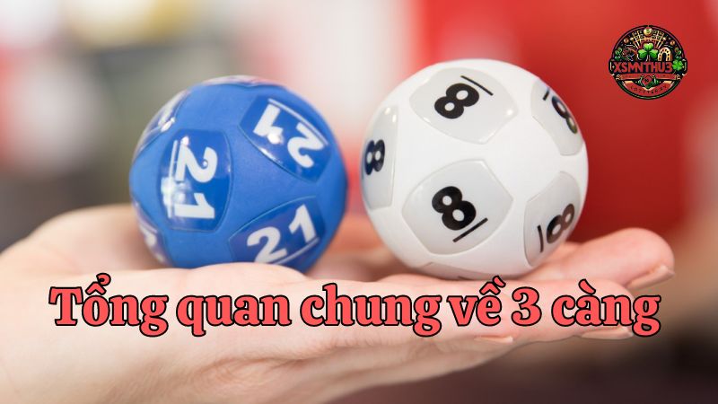 Hướng dẫn cách chơi 3 càng khung 7 ngày hiệu quả